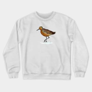 Hello Red Knot Bird! Crewneck Sweatshirt